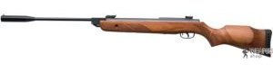 �������������� �������� GAMO Hunter 1250