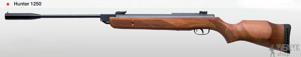 Пневматическая винтовка GAMO Hunter 1250 Пневматическая винтовка GAMO Hunter 1250